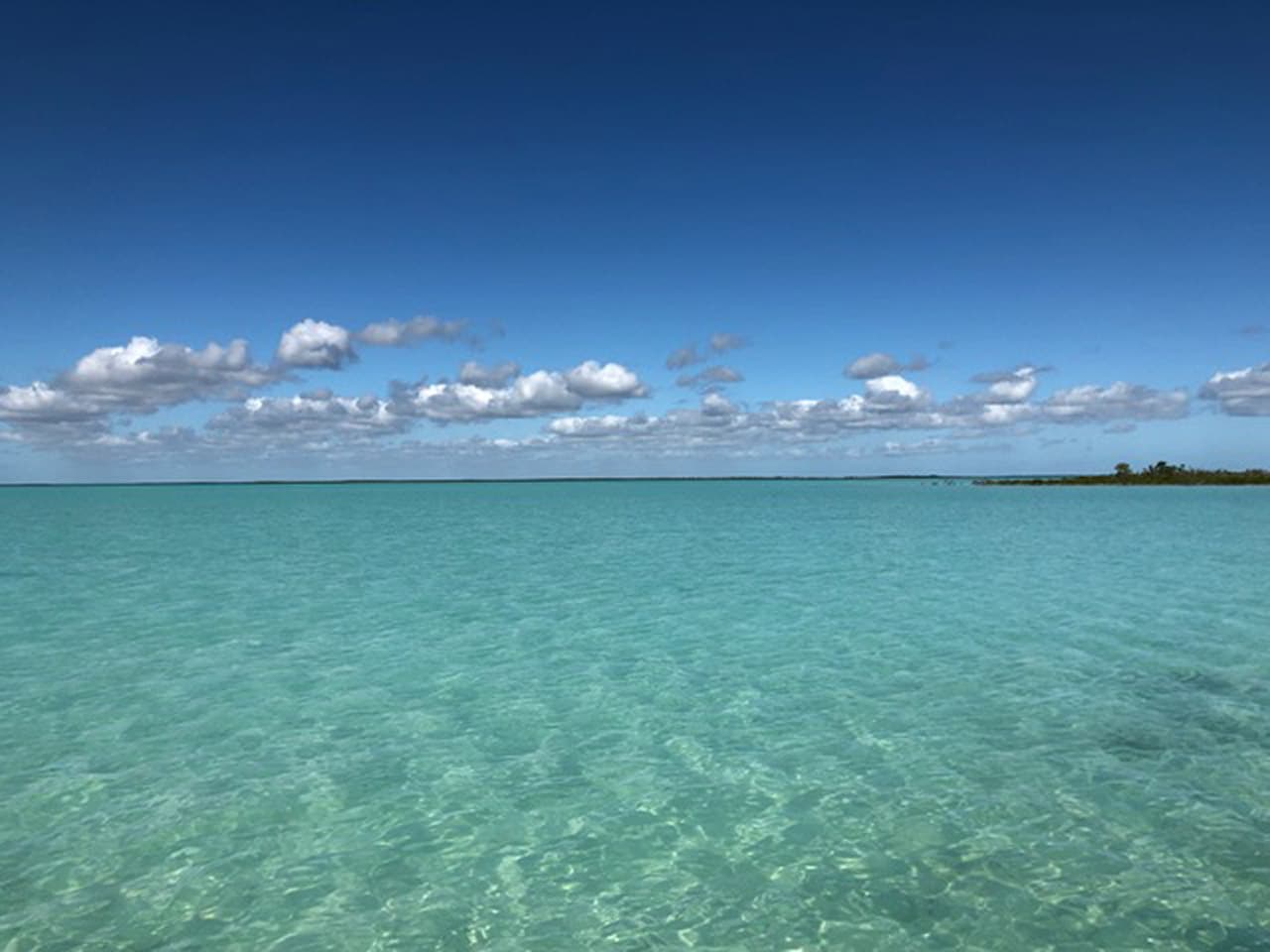 A fly rod bent against the Andros sky